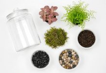 Easy A Terrarium Tutorial for Kids a terrarium kids craft instruction image 1