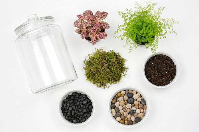 easy-a-terrarium-tutorial-for-kids-instruction-1 a terrarium kids craft instruction image 1