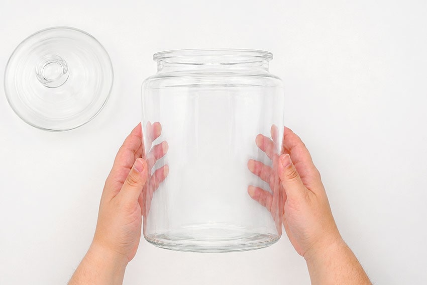 a terrarium kids craft instruction image 2