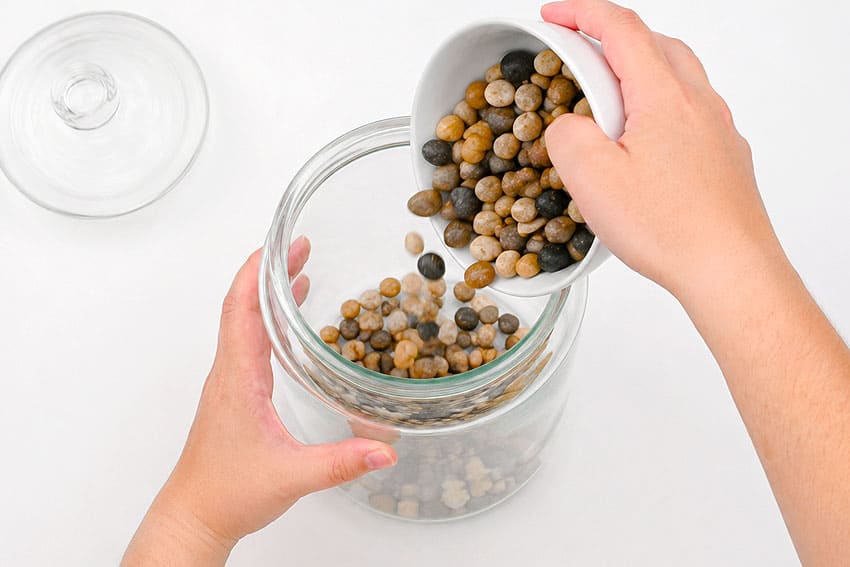 a terrarium kids craft instruction image 3