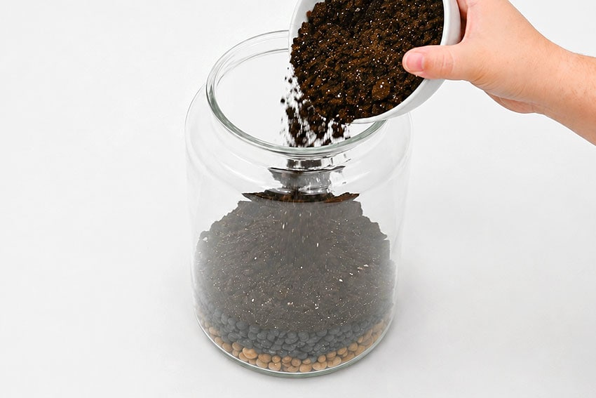 a terrarium kids craft instruction image 5