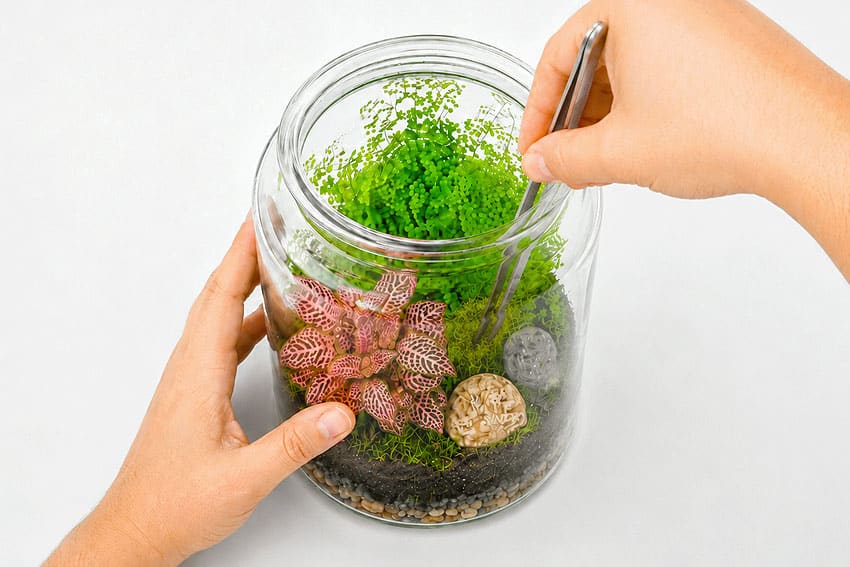 a terrarium kids craft instruction image 6