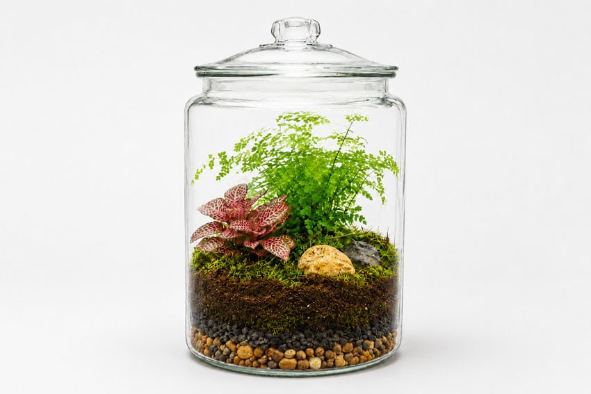 a terrarium kids craft instruction image 7