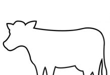 Easy Animal Outlines Tutorial for Kids animal outlines crochet yarn craft instruction image 1