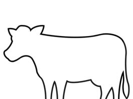 Easy Animal Outlines Tutorial for Kids animal outlines crochet yarn craft instruction image 1