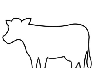 Easy Animal Outlines Tutorial for Kids animal outlines crochet yarn craft instruction image 1