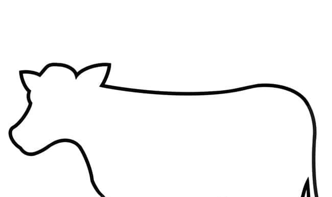 Easy Animal Outlines Tutorial for Kids animal outlines crochet yarn craft instruction image 1