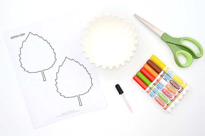 coffee filter leaves kids craft instruction image 1