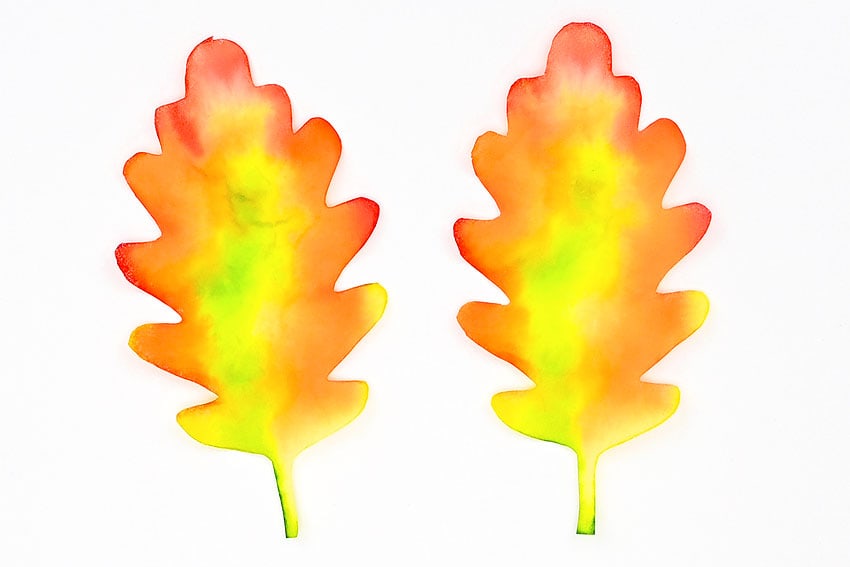 coffee filter leaves kids craft instruction image 11