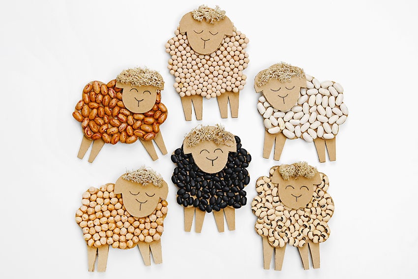 sheep bean art kids craft instruction image 13