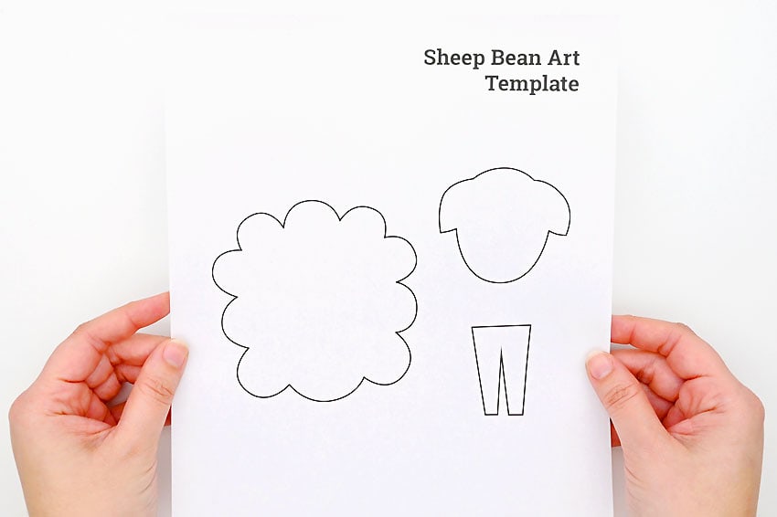 sheep bean art kids craft instruction image 2