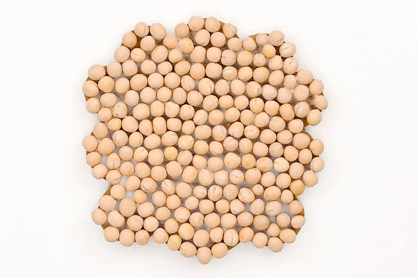 sheep bean art kids craft instruction image 6