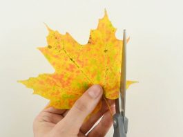 Easy Autumn Leaf Butterflies And Dragonflies Tutorial for Kids autumn leaf butterflies and dragonflies kids craft instruction image 1