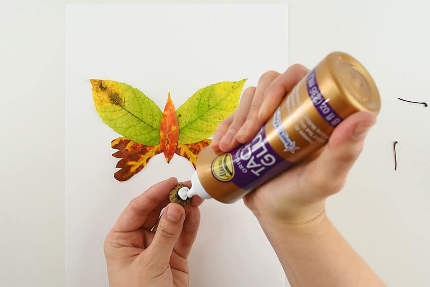 autumn leaf butterflies and dragonflies kids craft instruction image 4