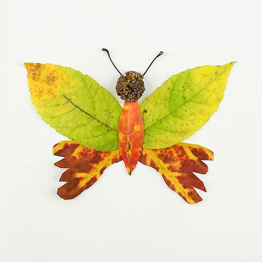 autumn leaf butterflies and dragonflies kids craft instruction image 5