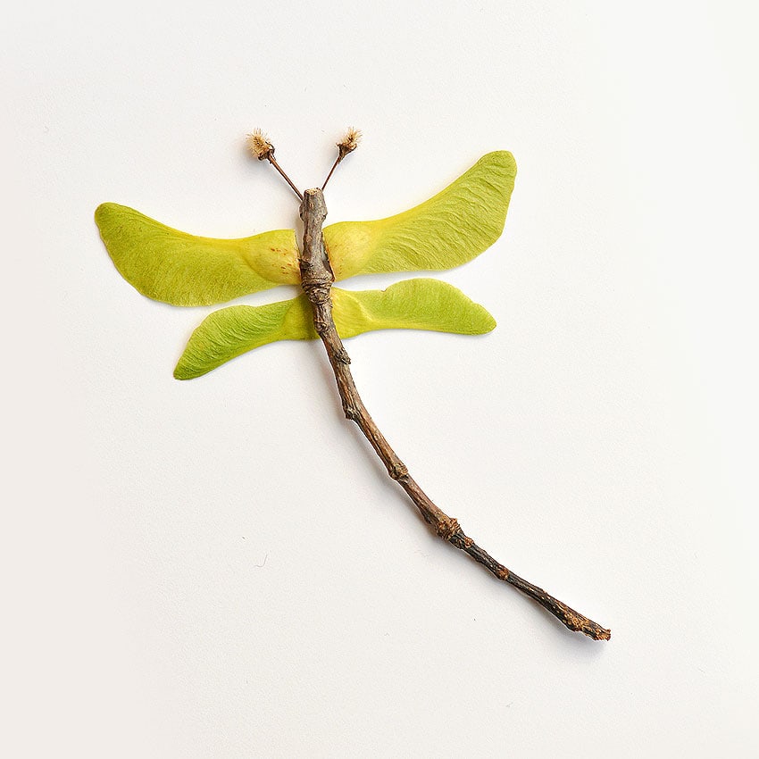 autumn leaf butterflies and dragonflies kids craft instruction image 6
