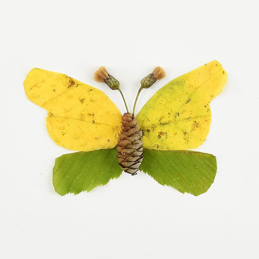 autumn leaf butterflies and dragonflies kids craft instruction image 7