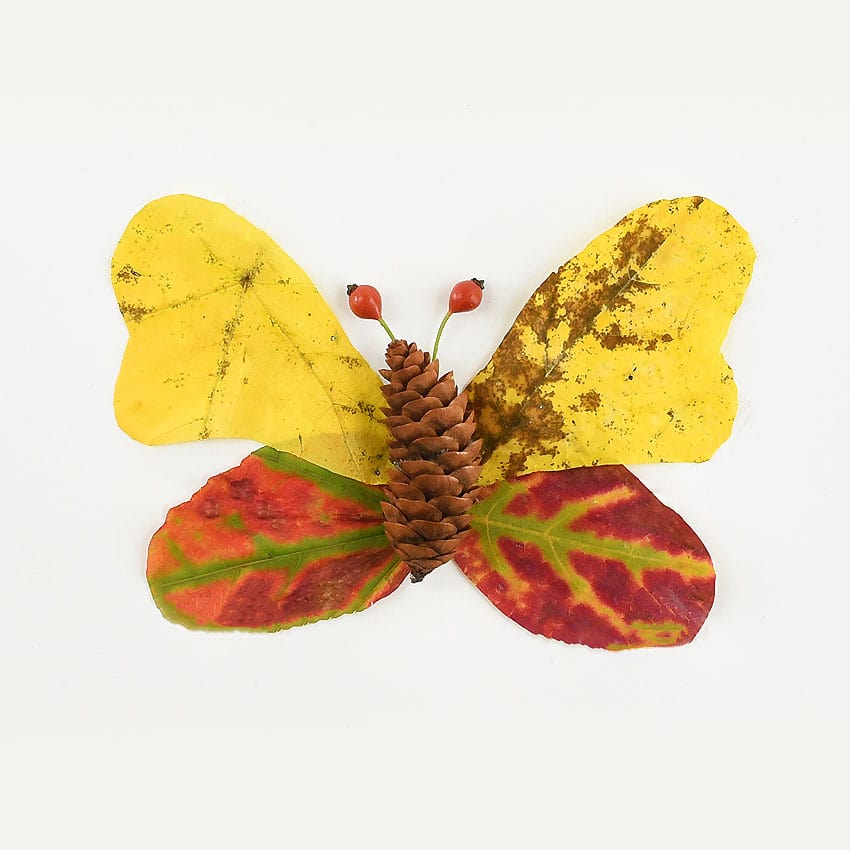 autumn leaf butterflies and dragonflies kids craft instruction image 8