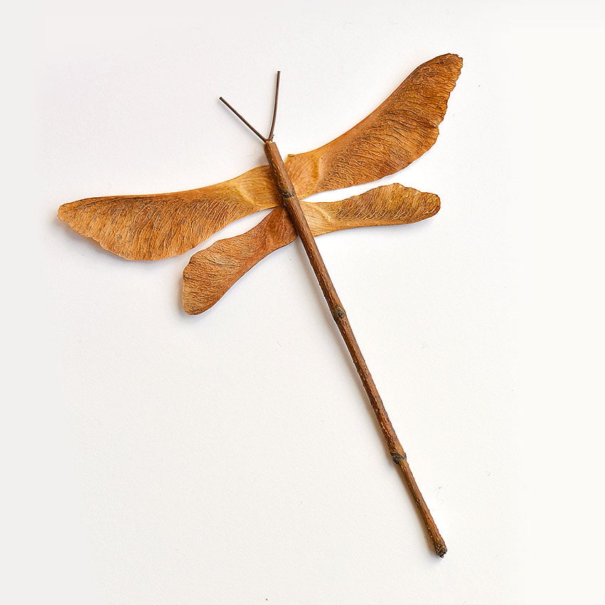 autumn leaf butterflies and dragonflies kids craft instruction image 9