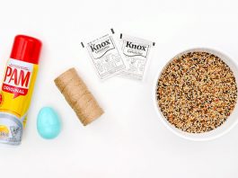 Easy Easter Egg Bird Feeder Tutorial for Kids easter egg bird feeder kids craft instruction image 1