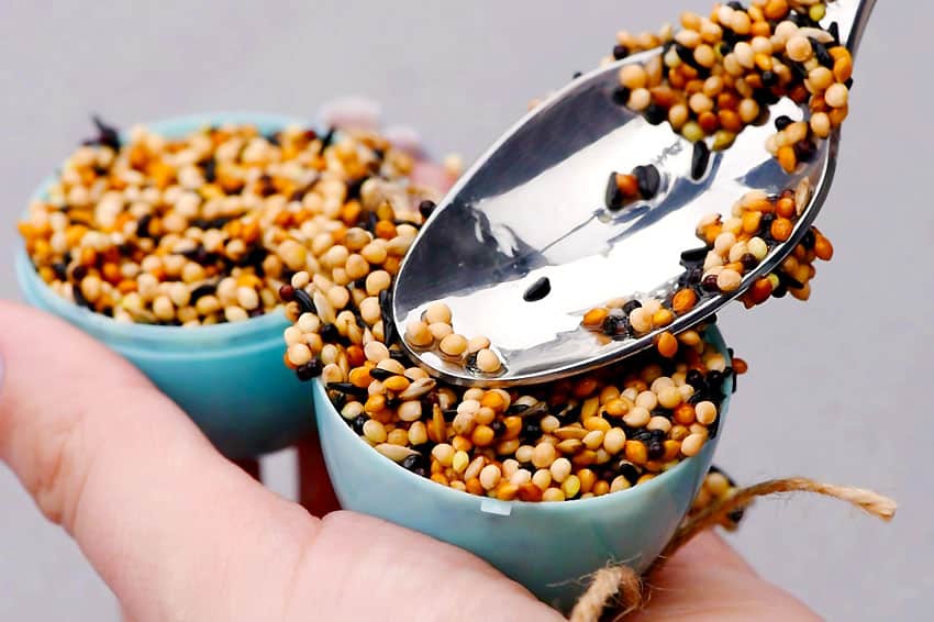 easter egg bird feeder kids craft instruction image 12