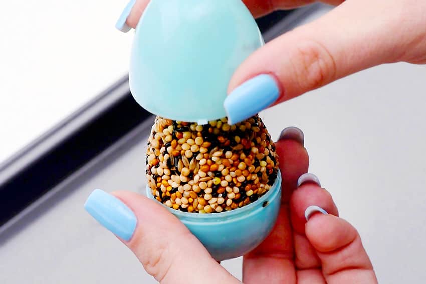 easter egg bird feeder kids craft instruction image 14
