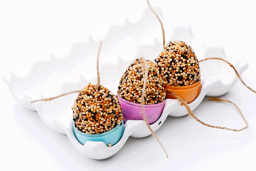 easter egg bird feeder kids craft instruction image 15