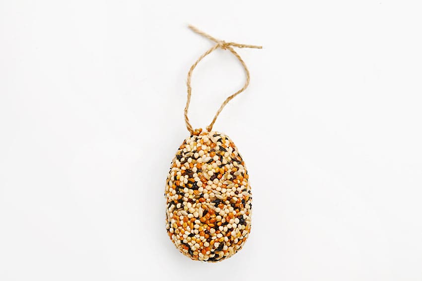 easter egg bird feeder kids craft instruction image 18