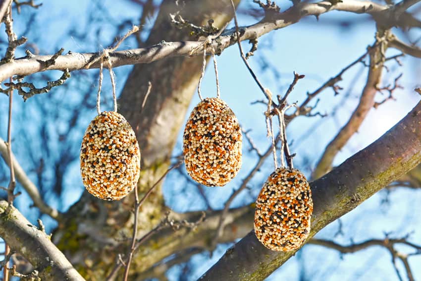 easter egg bird feeder kids craft instruction image 19