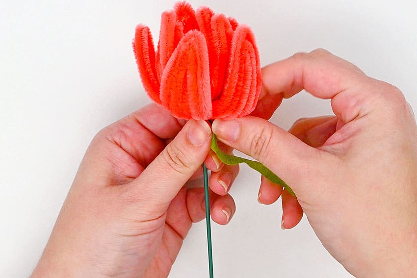 pipe cleaner tulip kids craft instruction image 19