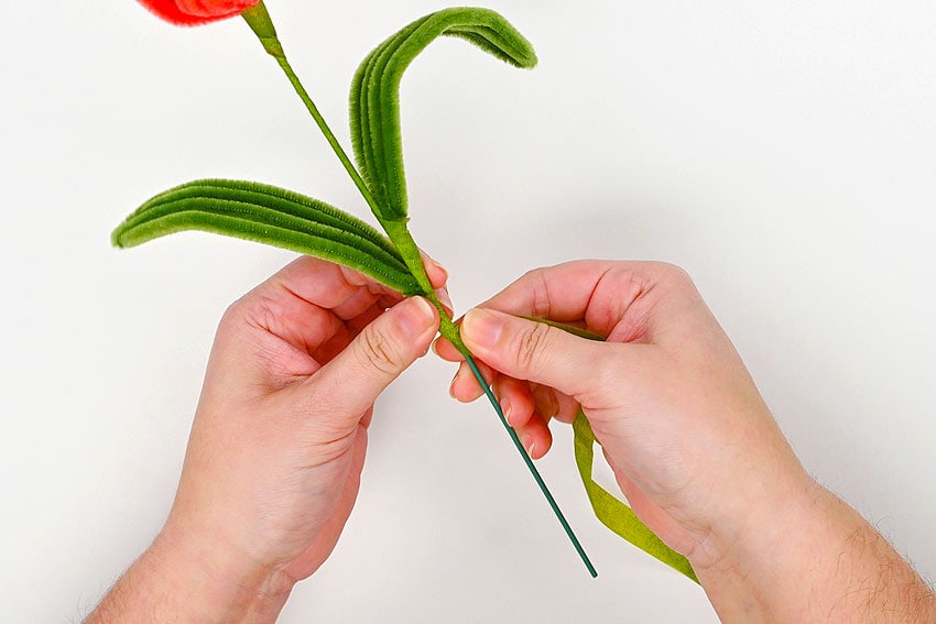 pipe cleaner tulip kids craft instruction image 23