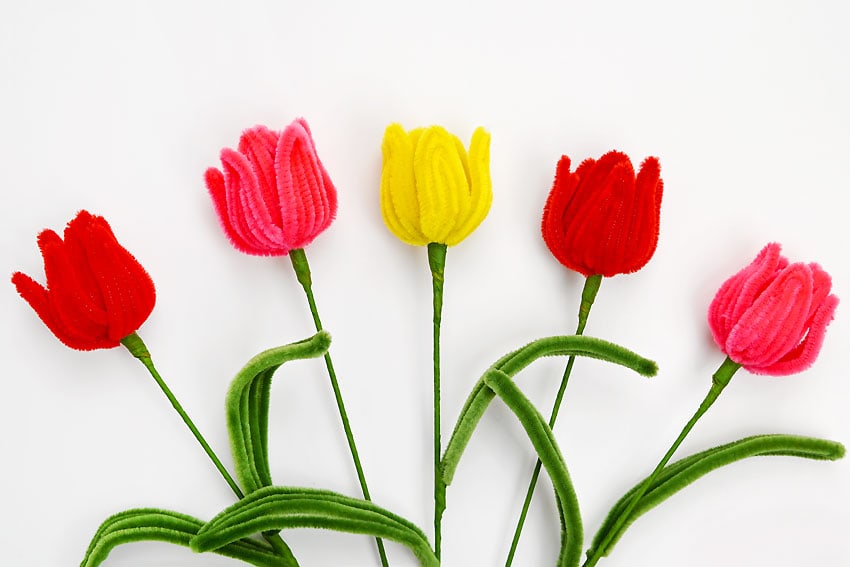 pipe cleaner tulip kids craft instruction image 26